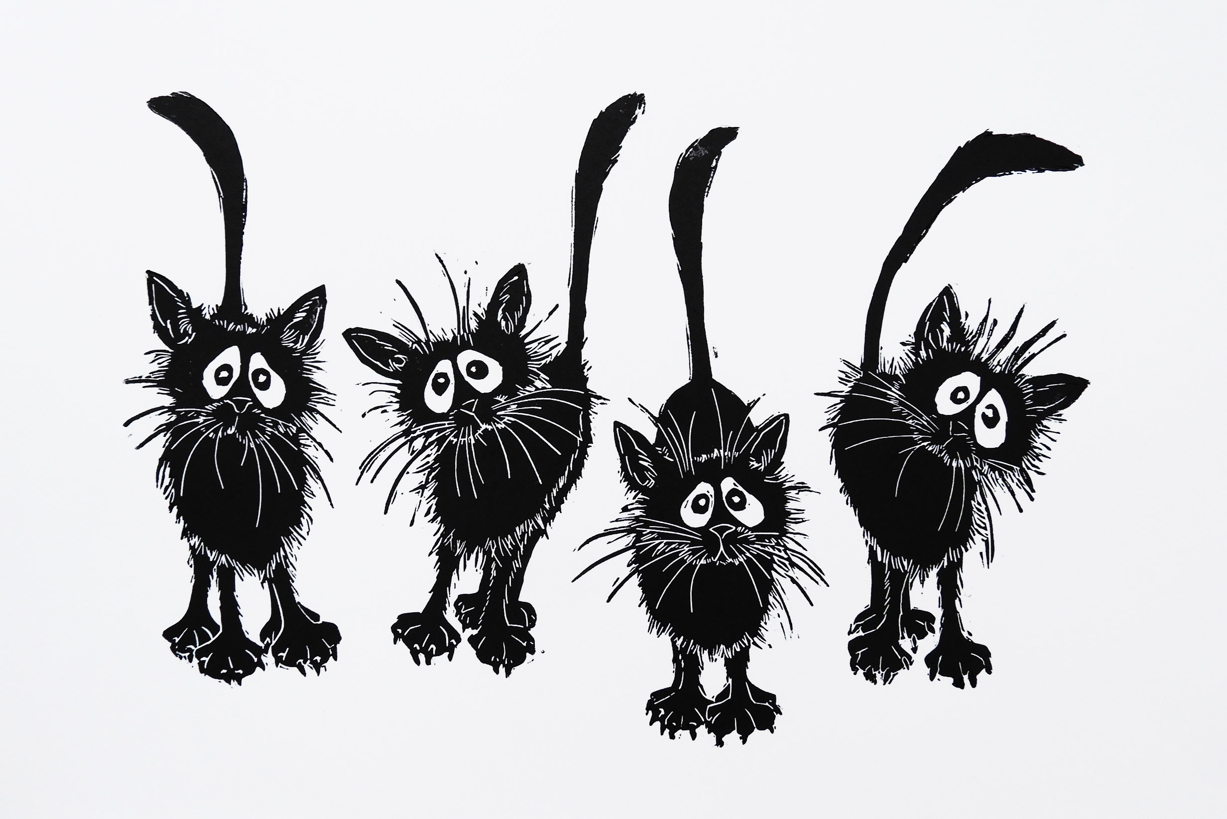 Alley Cats